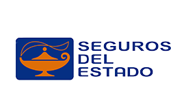 Seguros del estado